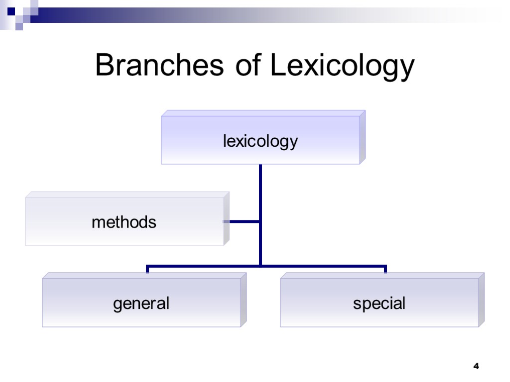 4 Branches of Lexicology
